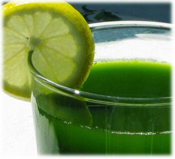 Chlorophyll: Why it's your new best friend